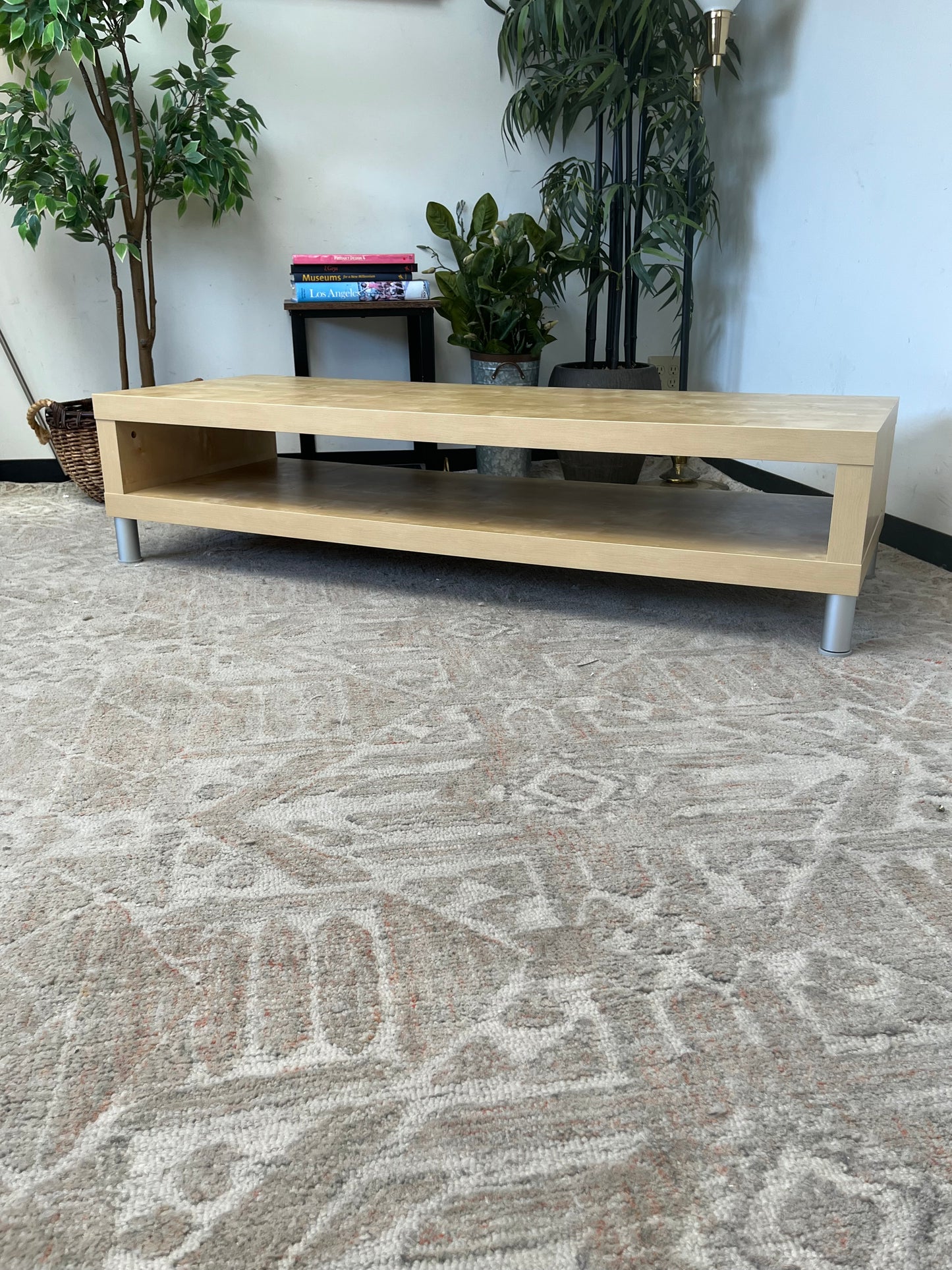 Modern Wooden TV Stand