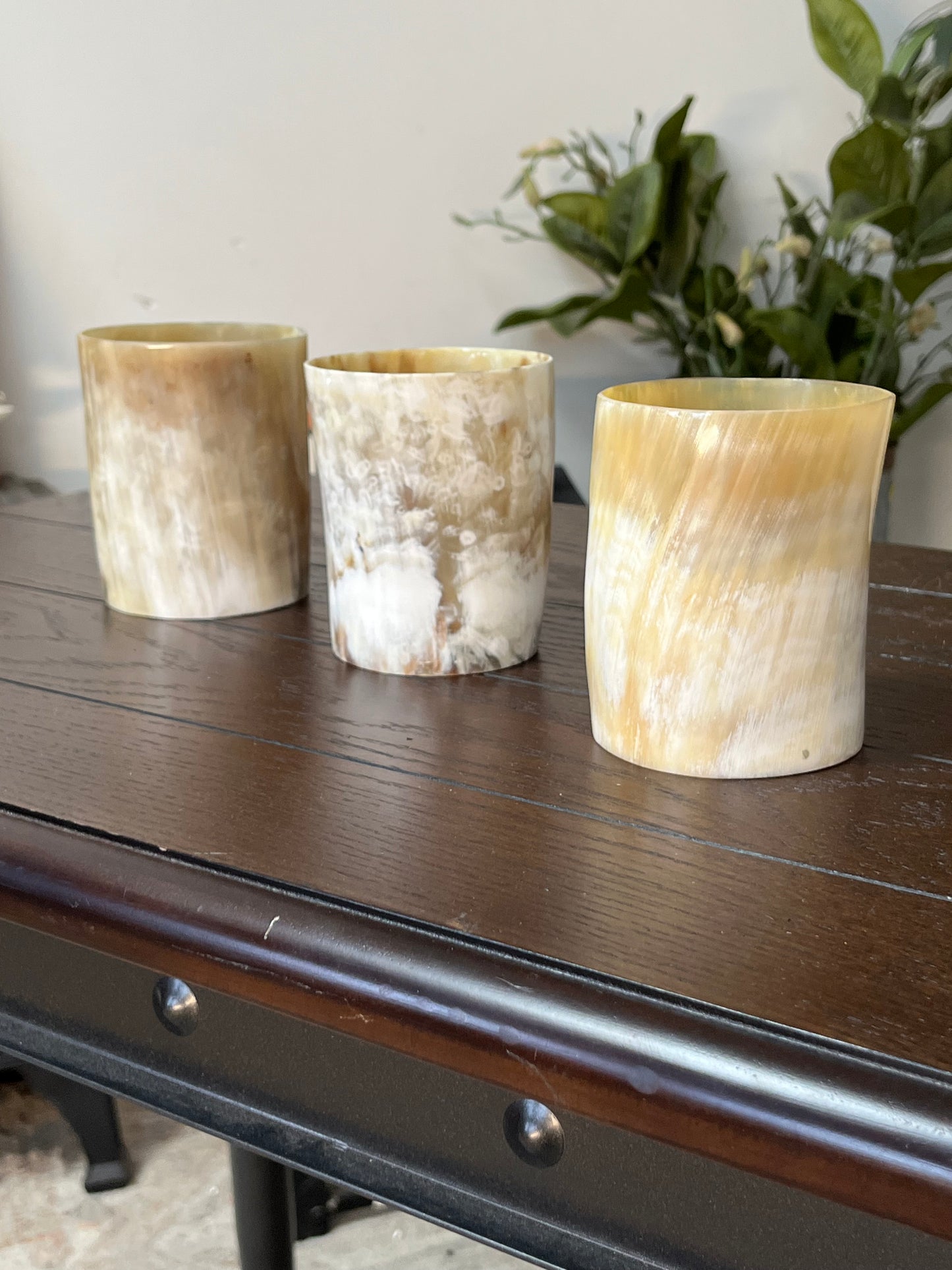 Water Buffalo Horn Vase For Plants