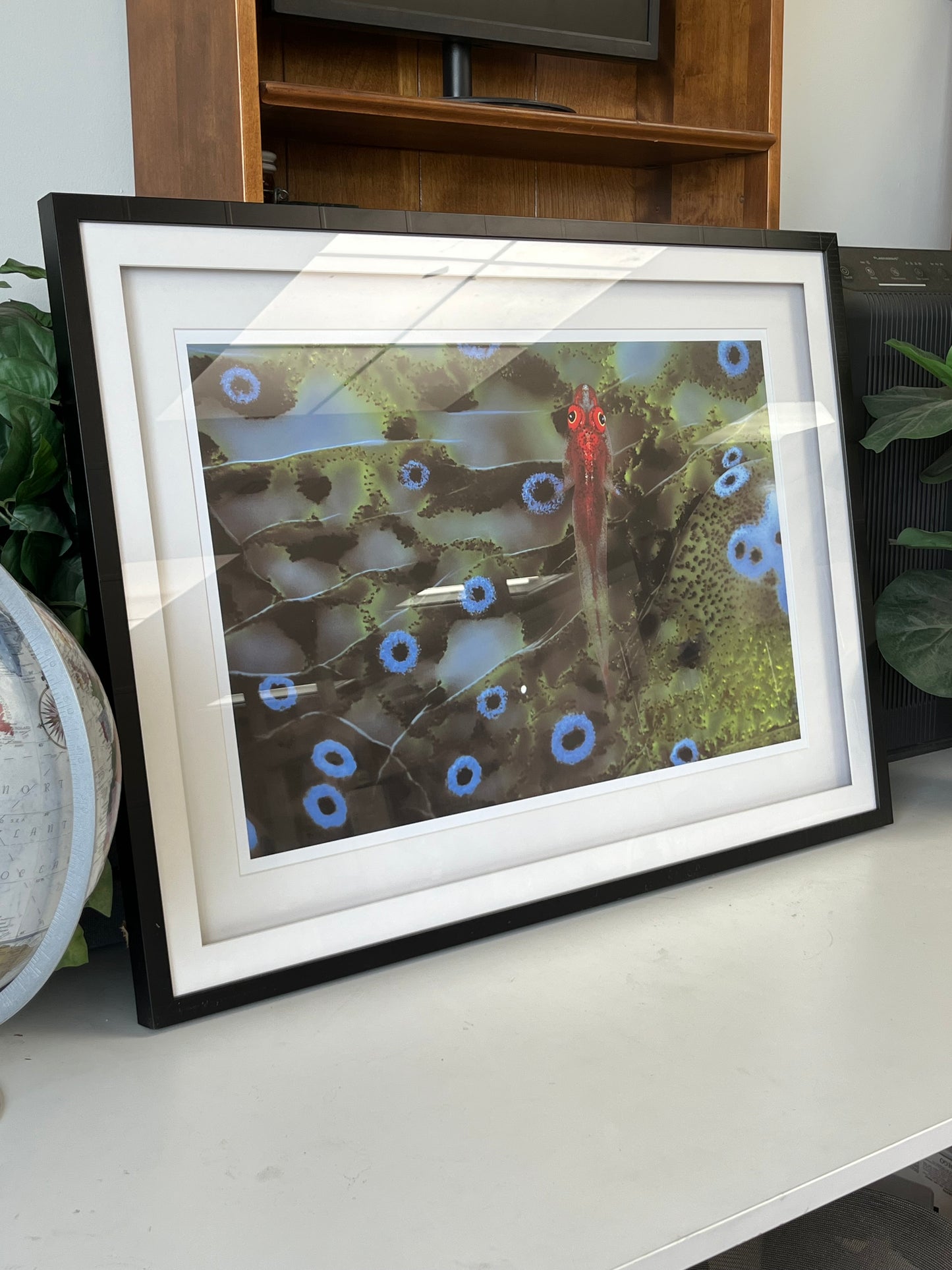 Aquatic Animal Print Wall Art