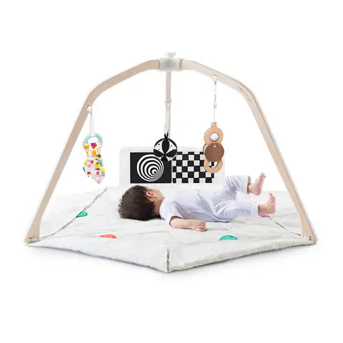 Lux Baby Gym Play Mat