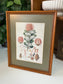 Botanical Illustrations By Various Artists 15.25" x 12.25"W