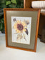 Botanical Illustrations By Various Artists 15.25" x 12.25"W