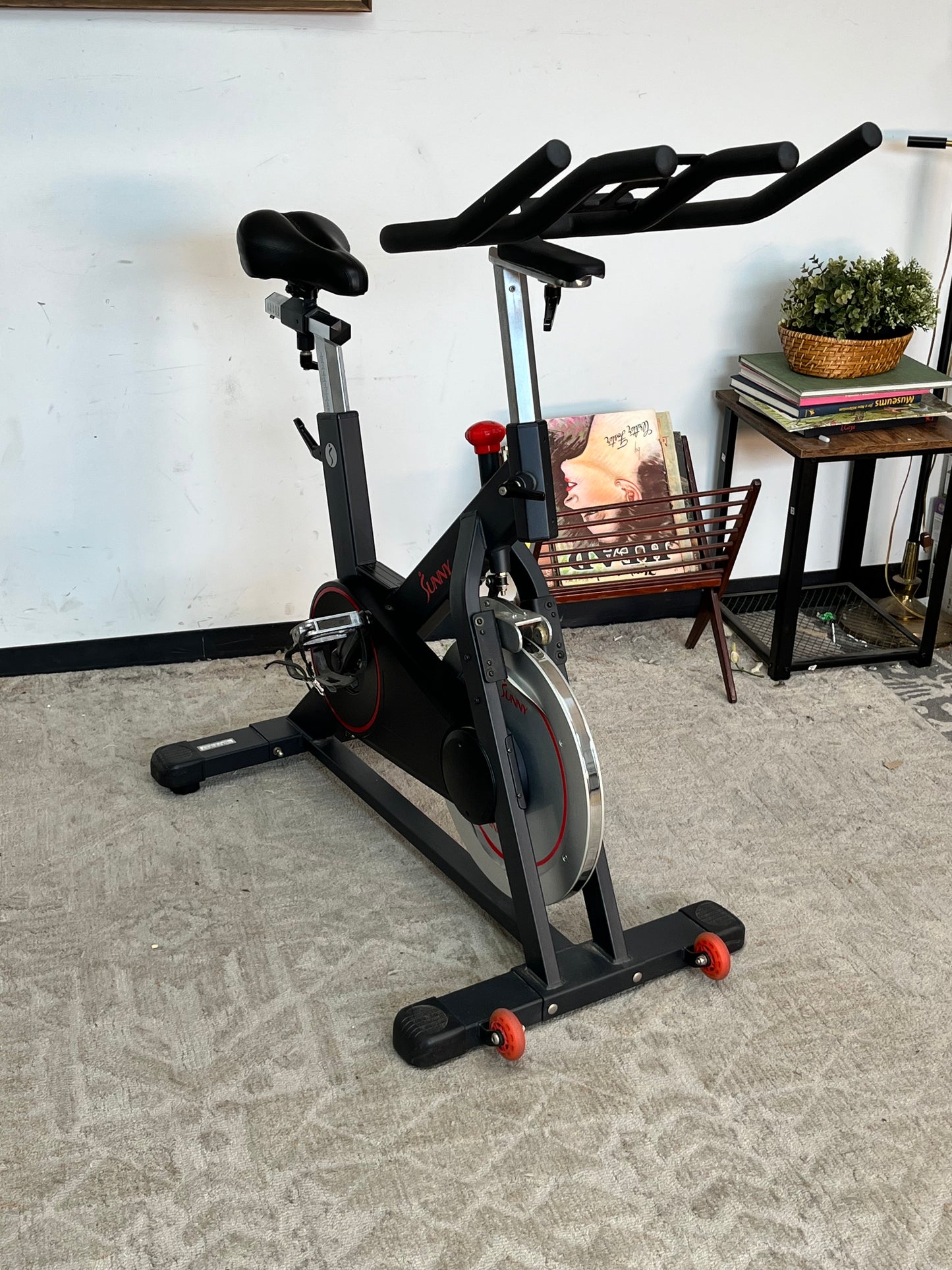 Sunny Indoor Cycling Stationary Bike