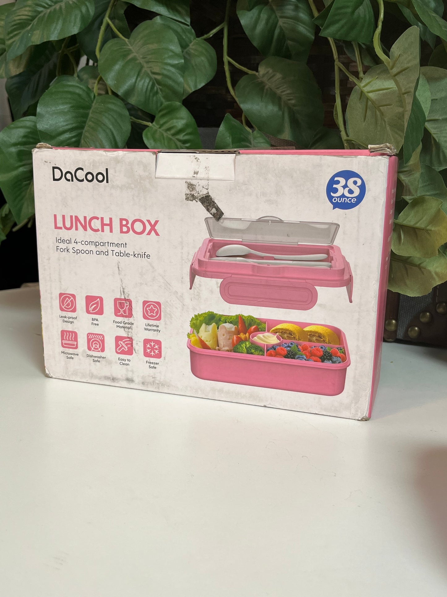 DaCool 4-Compartment Fork Spoon & Knife Lunch Box