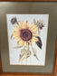 Botanical Illustrations By Various Artists 15.25" x 12.25"W