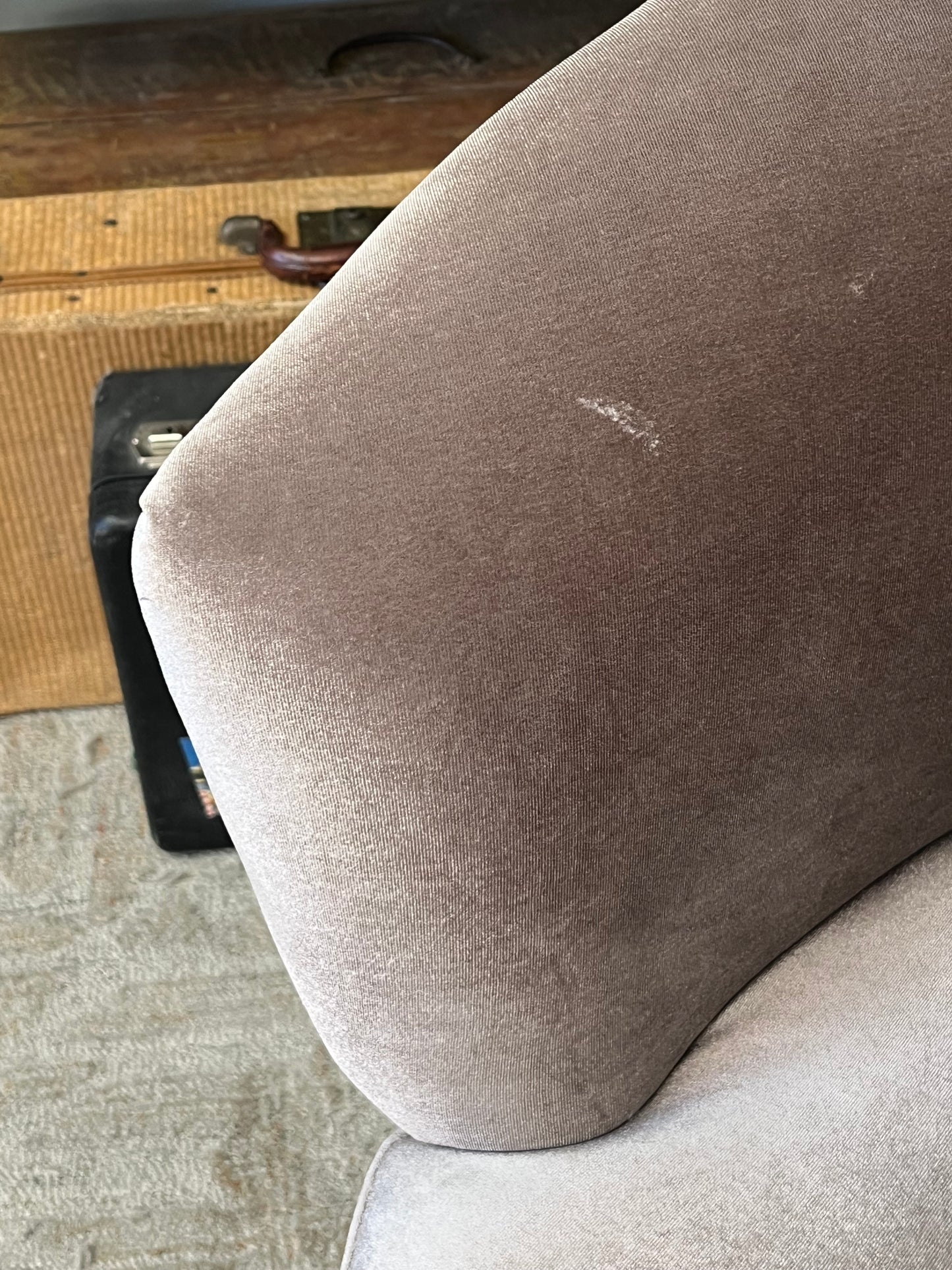 Safavieh Purple Rounded Armchair