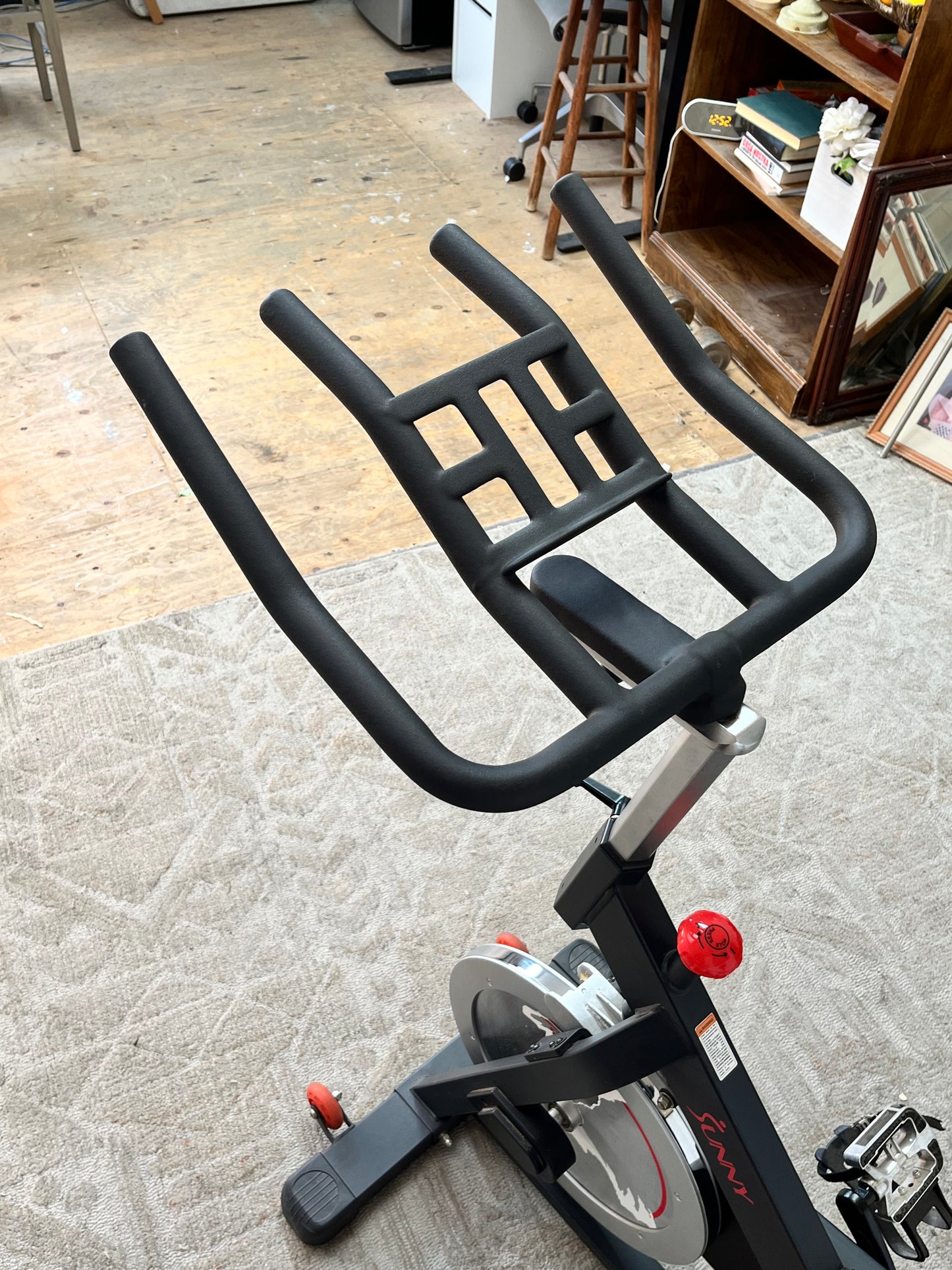 Sunny Indoor Cycling Stationary Bike
