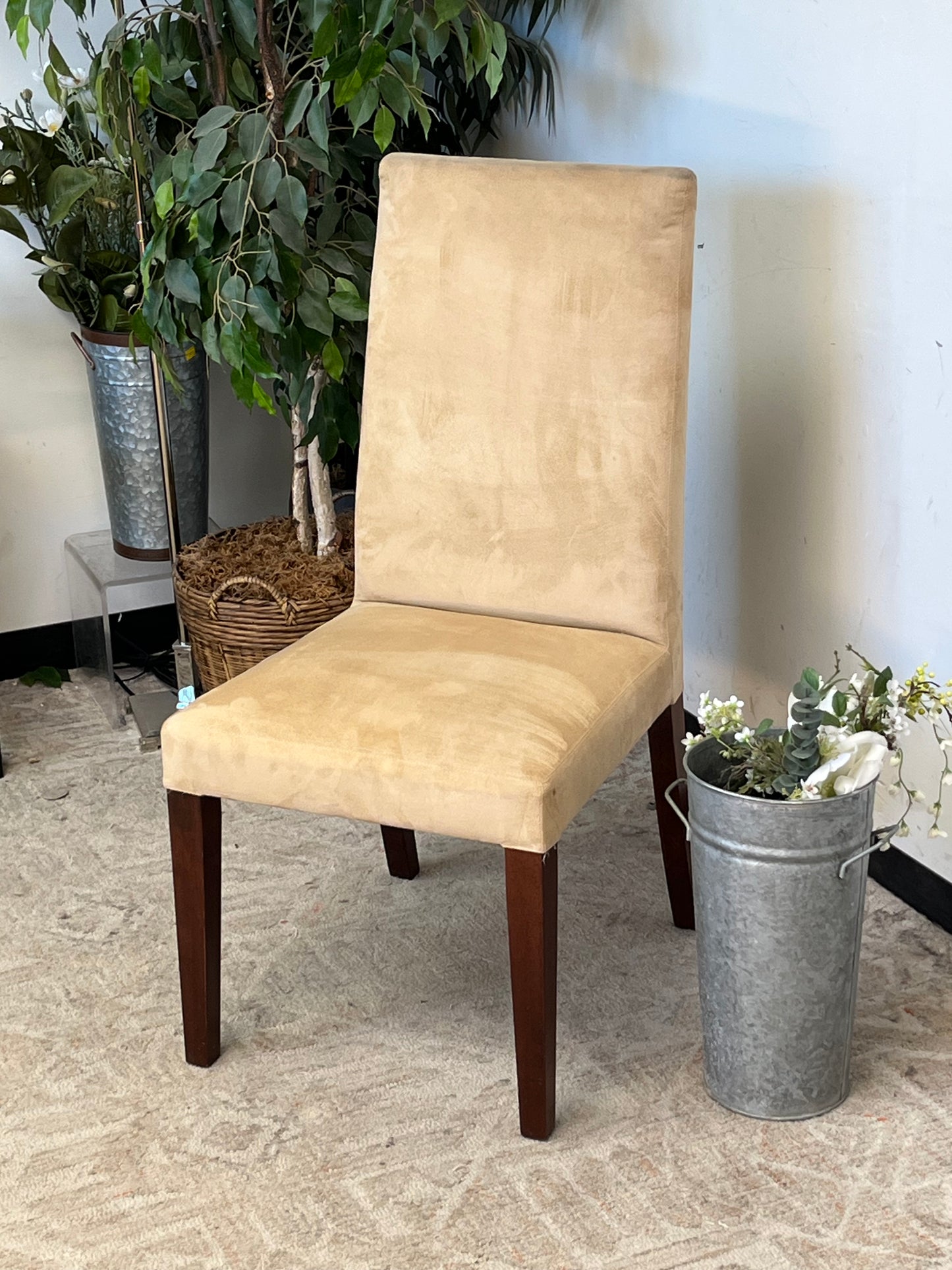 Pottery Barn Dining Chairs - Set of 6