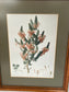 Botanical Illustrations By Various Artists 15.25" x 12.25"W