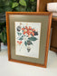 Botanical Illustrations By Various Artists 15.25" x 12.25"W