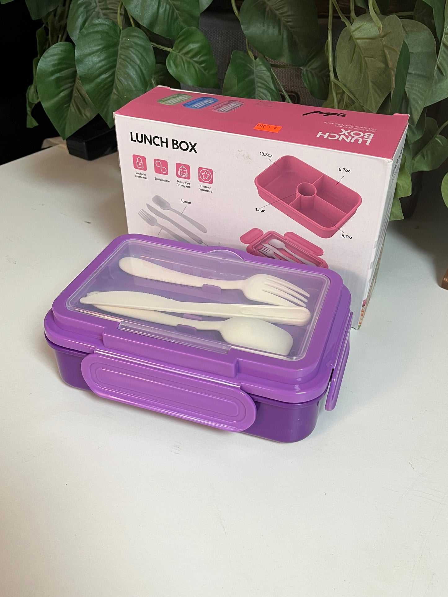 DaCool 4-Compartment Fork Spoon & Knife Lunch Box