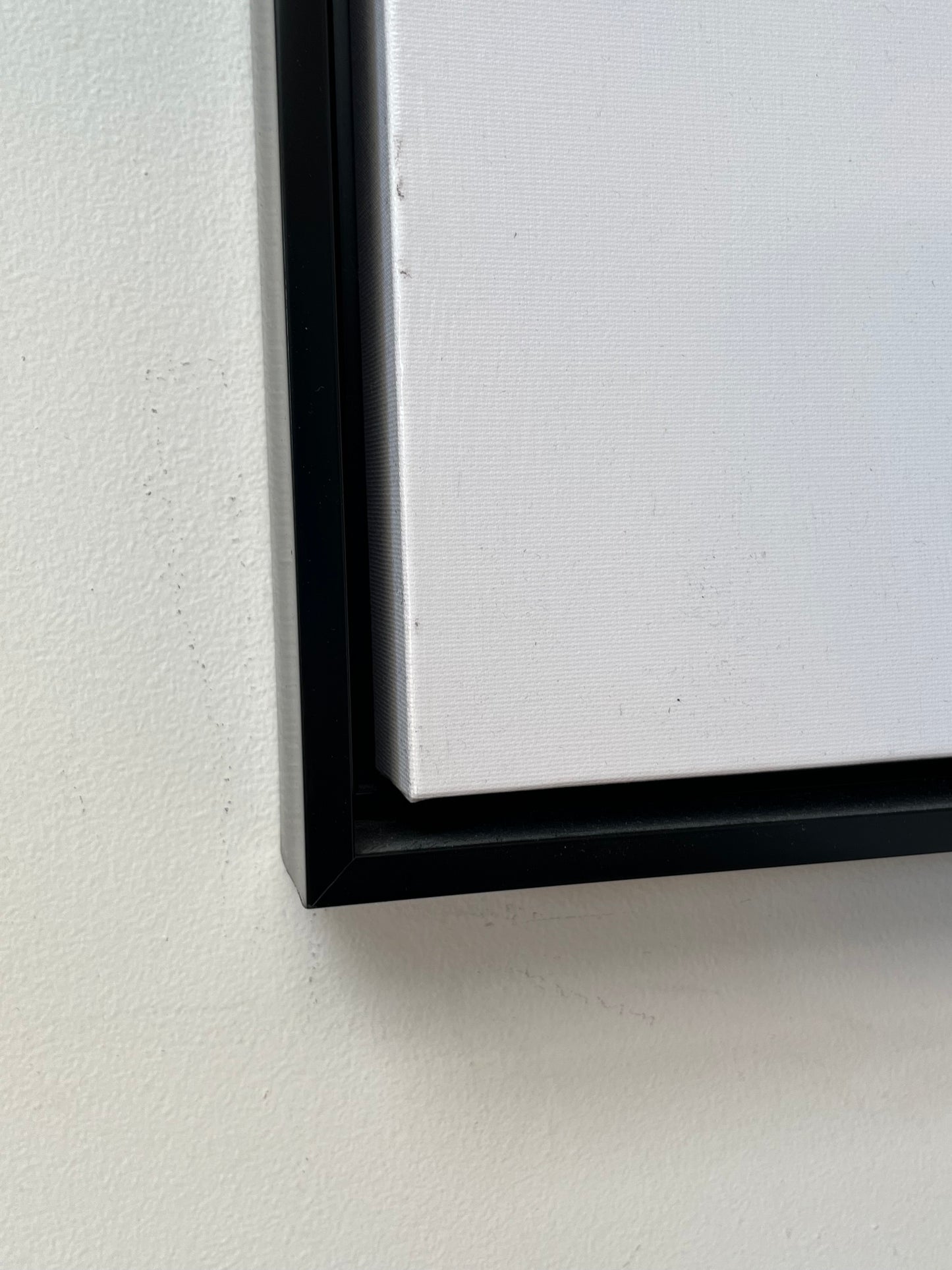 Z Gallerie Framed Artwork Portrait