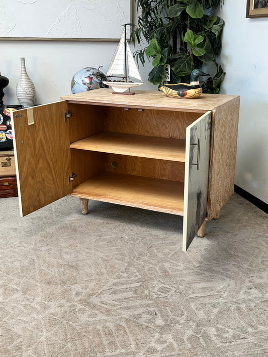 Modern Rustic Style 2-Door Cabinet