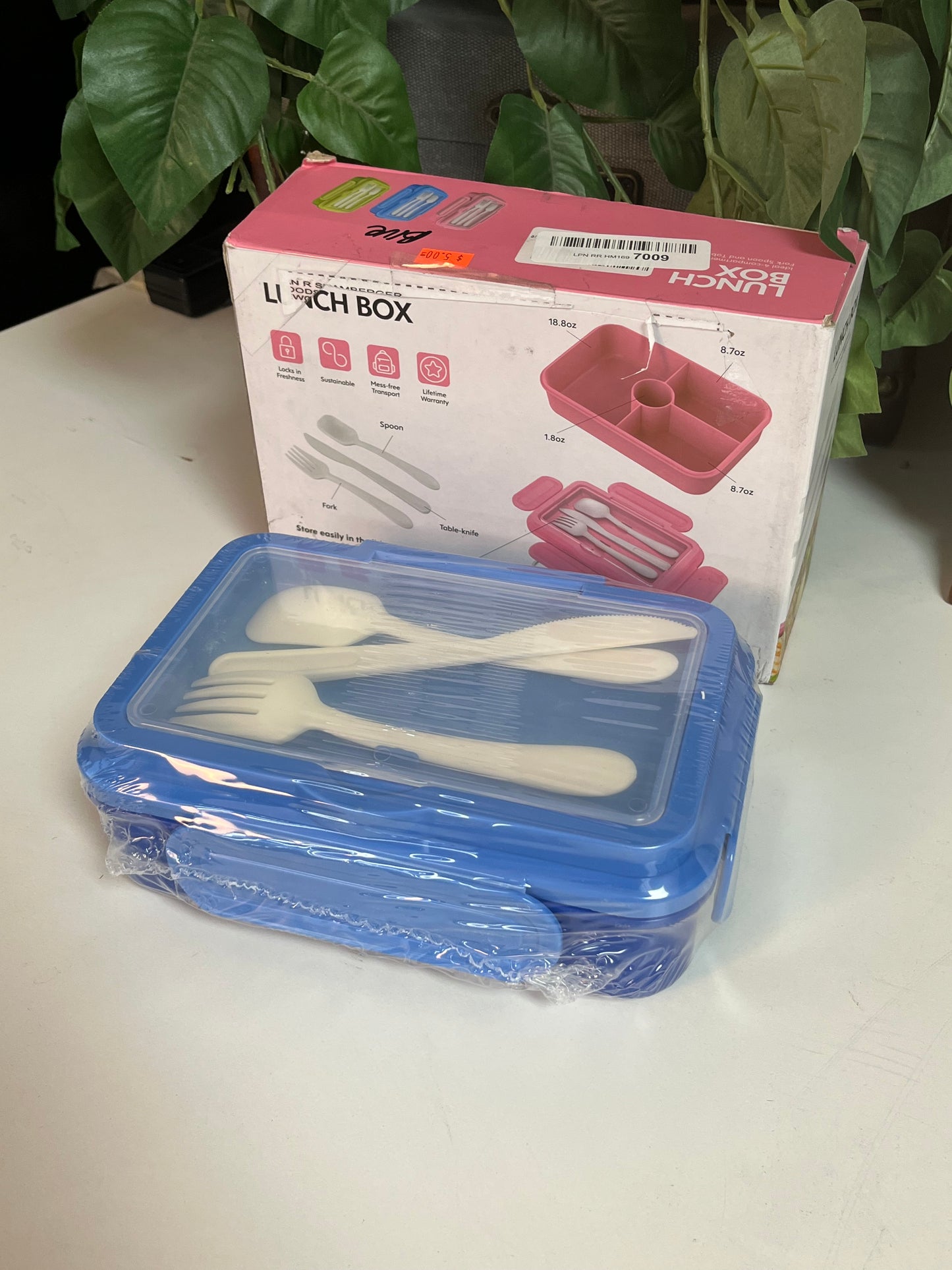 DaCool 4-Compartment Fork Spoon & Knife Lunch Box