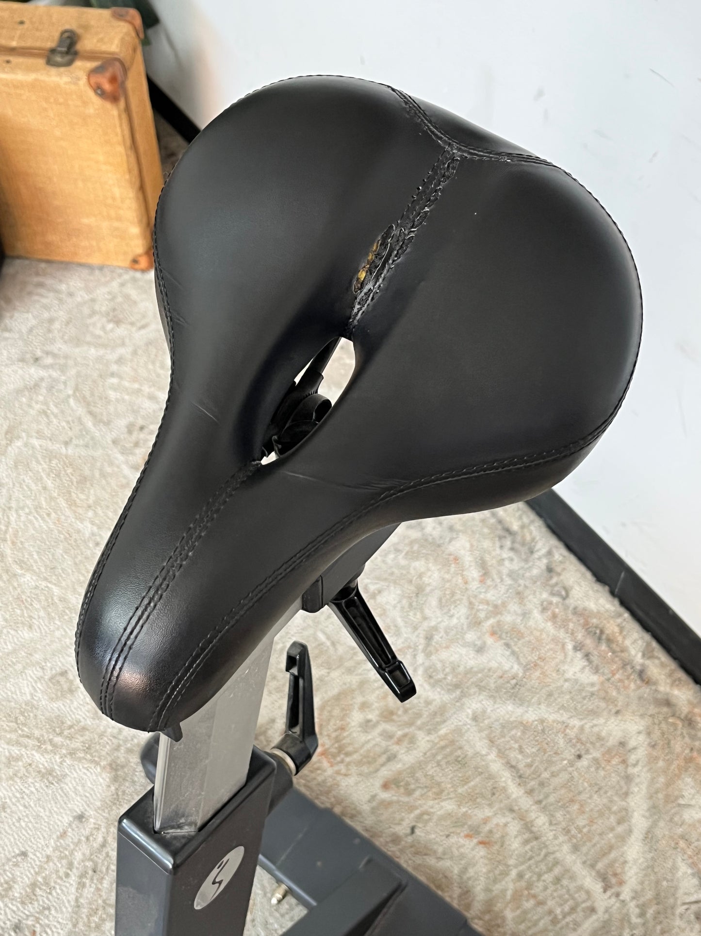 Sunny Indoor Cycling Stationary Bike