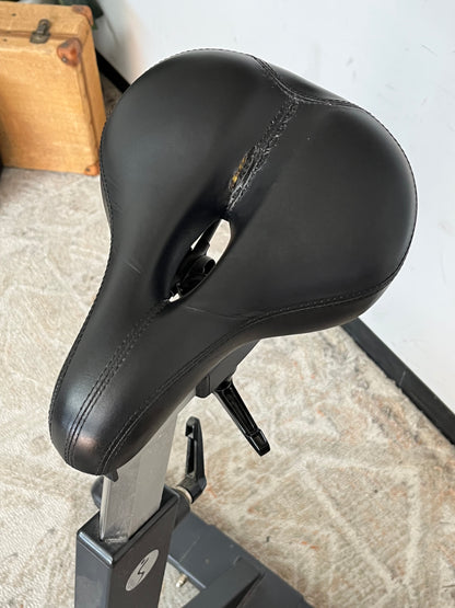 Sunny Indoor Cycling Stationary Bike